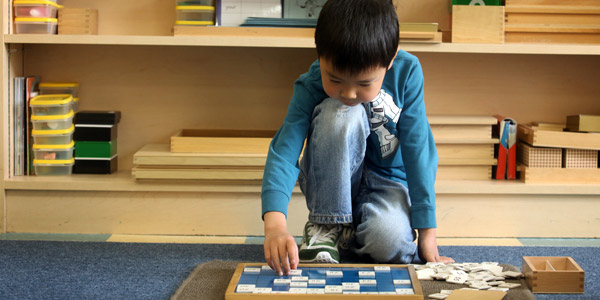 Neuroscience in education