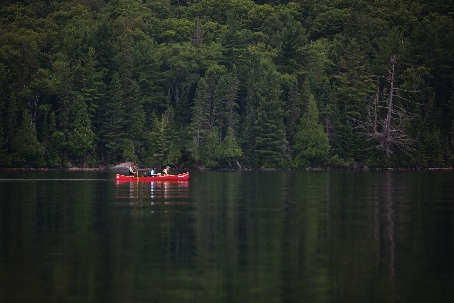 best our kids camp photos