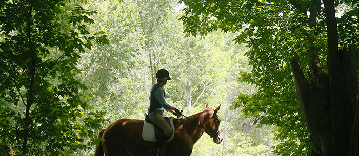 Sans Souci Riding Centre - Overcoming nature deficit disorder