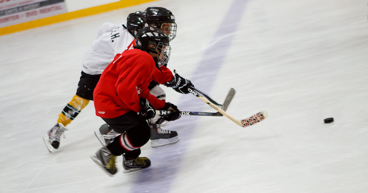 Summer hockey camps