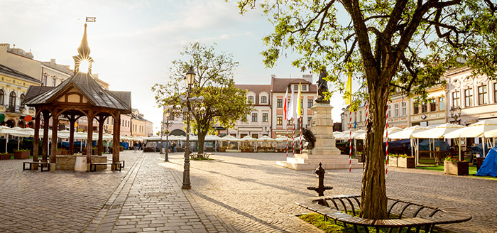 Rzeszów private schools