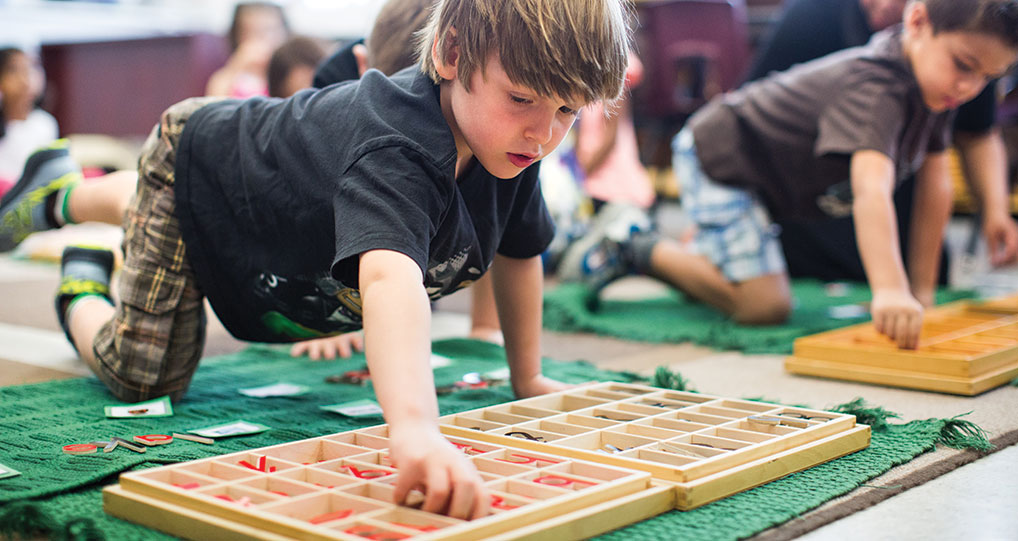 Montessori Schools