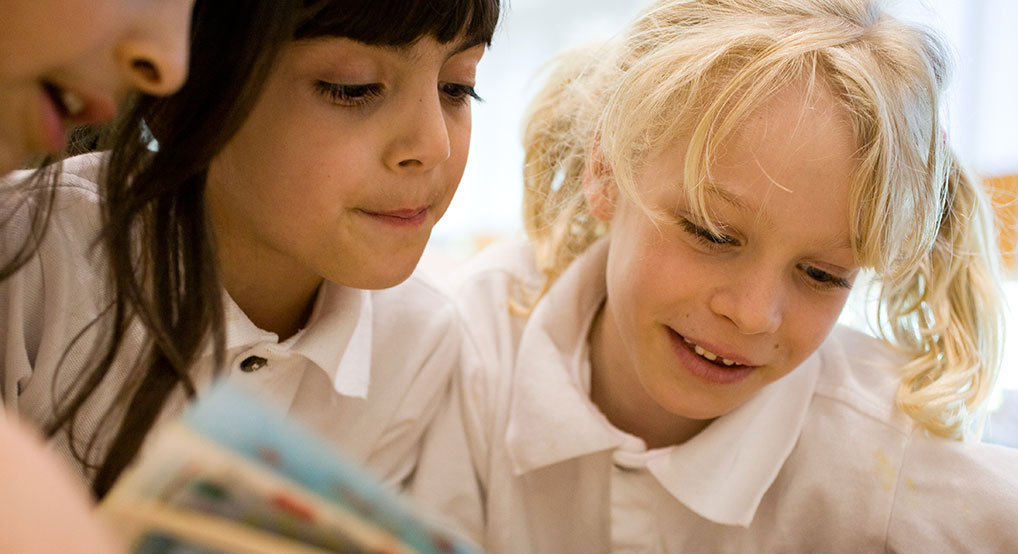 Reggio Emilia programs