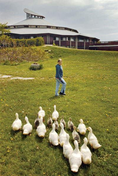 waldorf schools